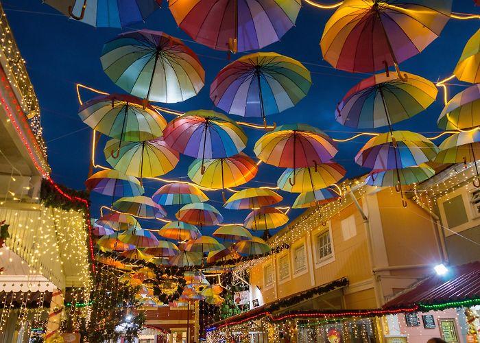 Finnish Museum Visit Penedo: 2024 Penedo, Itatiaia Travel Guide | Expedia photo