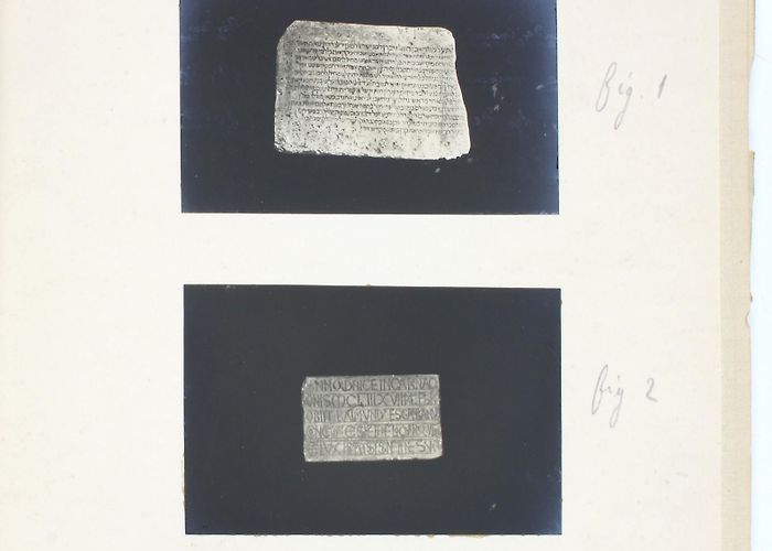 Museum of Biterrois Société archéologique de Béziers]. "Musée lapidaire. Aperçu ... photo