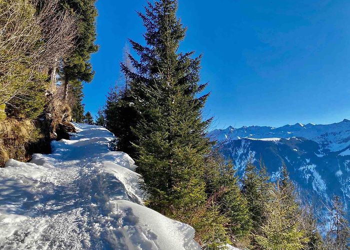 Gondelbahn Hüttenberg-Grotzenbüel A Great Circular Snowshoe Hike in Braunwald with Ice Cave ... photo