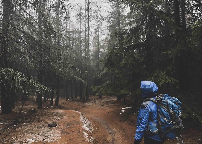 Museum Kirche zum Heiligen Kreuz Visit Zittau Mountains: Best of Zittau Mountains Tourism | Expedia ... photo