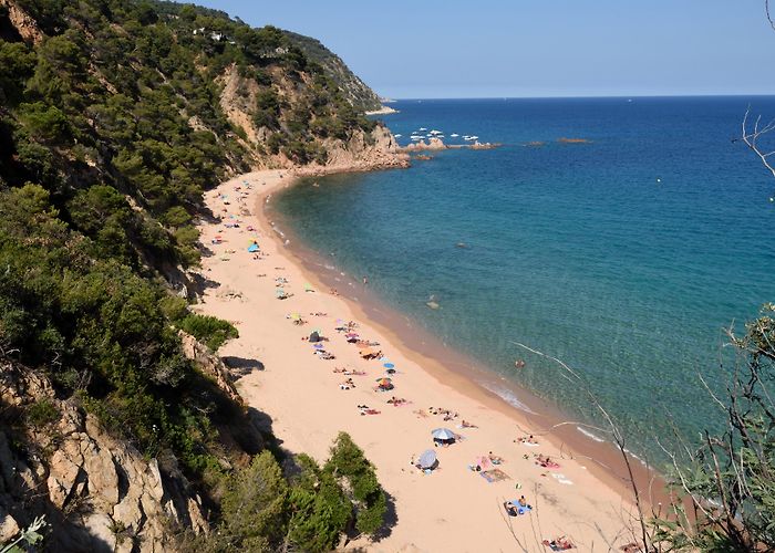 Golf d'Aro Visit Santa Cristina de Aro: 2024 Travel Guide for Santa Cristina ... photo