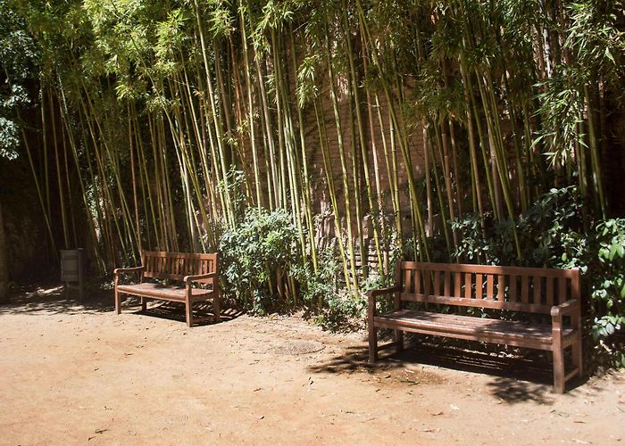 La Tamarita 7 Barcelona Parks and Gardens (You Don't Want to Miss) - Context ... photo
