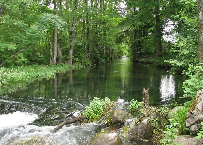 Rosenpark Bad Tölz turismo: Qué visitar en Bad Tölz, Baviera, 2024 | Viaja ... photo