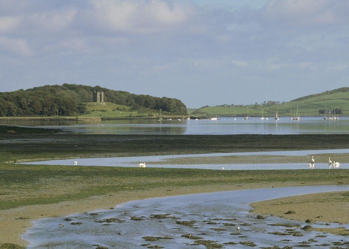 Audley's Castle Castle Trail at Castle Ward | County Down | National Trust photo