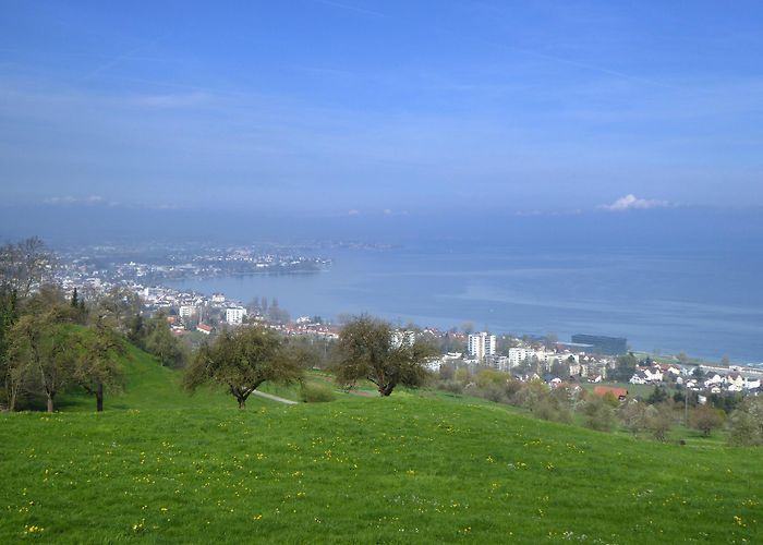 Rorschach Hafen The most beautiful nature trails in Rorschach | Outdooractive photo