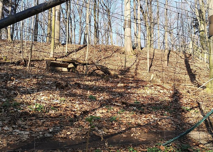 Tierpark Zittau GTS] Tierpark Zittau : r/guessthesubreddit photo