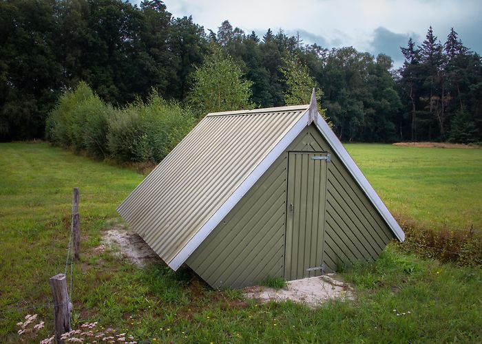 Naturemuseum Enschede Things to Do in Enschede in 2024 | Expedia photo