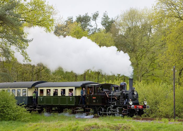Naturemuseum Enschede Things to Do in Enschede in 2024 | Expedia photo