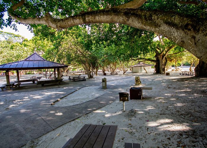 Spanish River Park Spanish River Park - The Palm Beaches - Arrivalguides.com photo