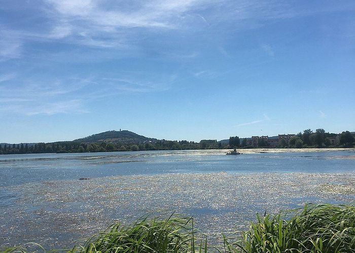 Musée Georges Garret Rosalie Vesoul - All You Need to Know BEFORE You Go (with Photos) photo