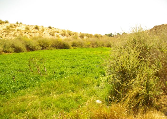 San Juan de Alicante Hospital Things to Do in San Juan de Alicante in 2024 | Expedia photo