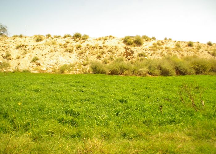 San Juan de Alicante Hospital Things to Do in San Juan de Alicante in 2024 | Expedia photo