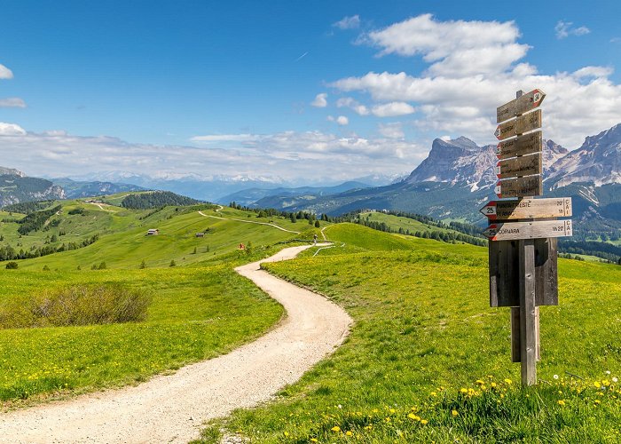 15 Pralongia Pralongia walk - Alta Badia walks - walks from Corvara - Dolomites ... photo