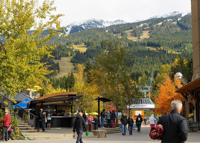 Excalibur Gondola Visit Whistler Village: 2024 Whistler Village, Whistler Travel ... photo