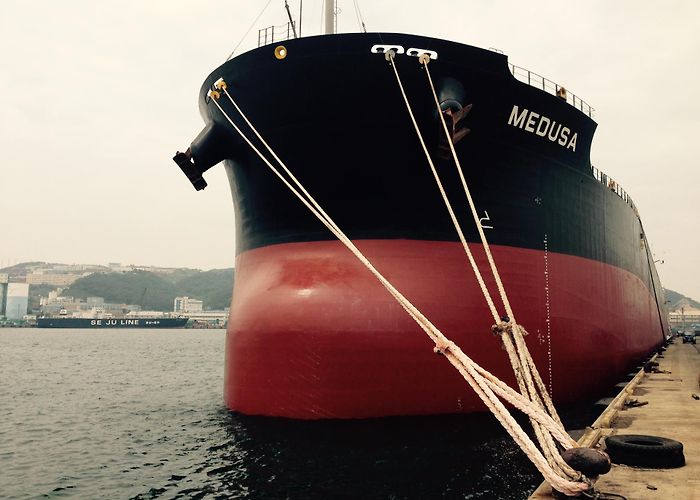 Cargill International Diana Shipping Inc. Announces Direct Continuation of Time Charter ... photo