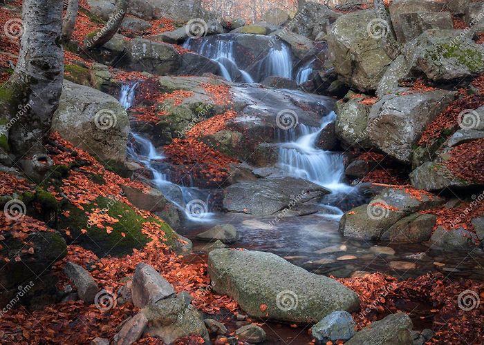Natural Park of Montseny Beautifull Waterfall at the Montseny Natural Park Stock Photo ... photo