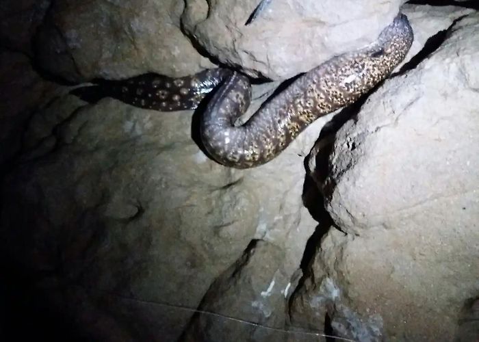 Port de l'Olla d'Altea ᐅ Port de l'Olla d'Altea fishing reports🎣• Valencia, Spain fishing photo