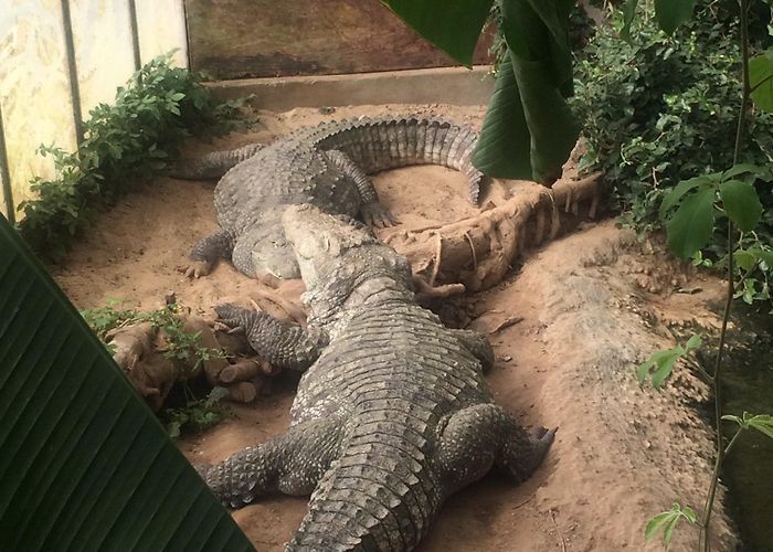 Thrigby Hall Thrigby Hall Wildlife Gardens Tours - Book Now | Expedia photo