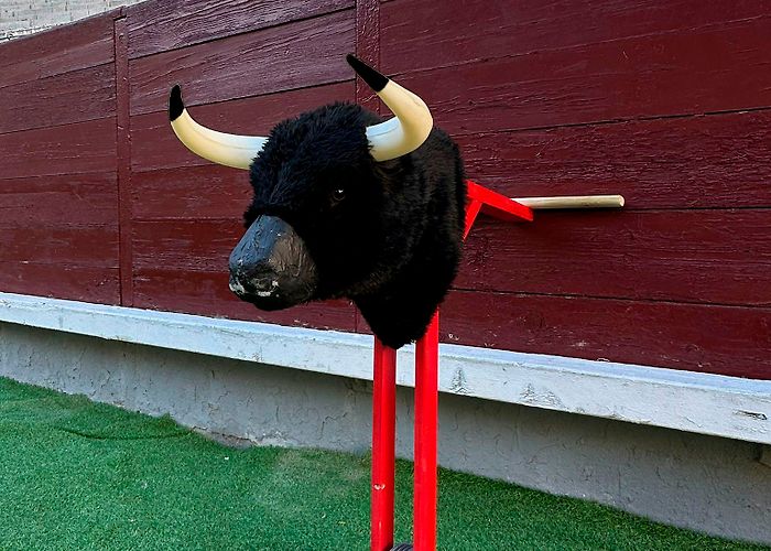 Bullring Pontevedra ▷ Children's Training Cart with Bull Head | Toroshopping photo