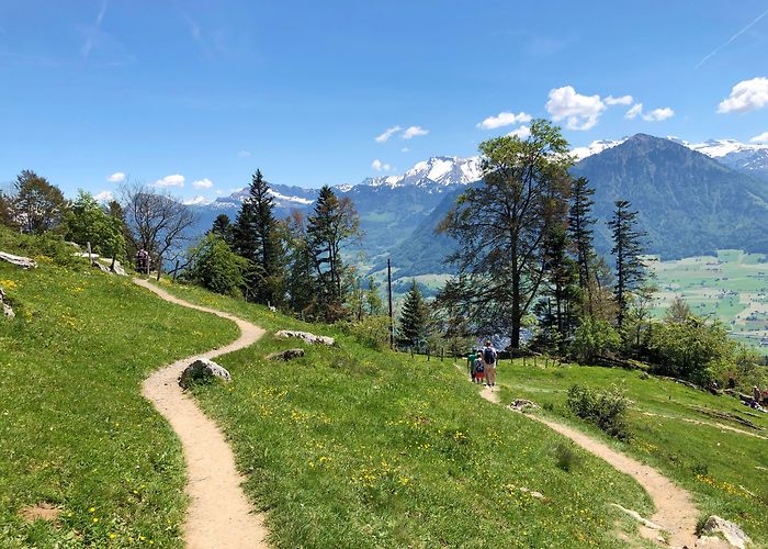 Musenalpbahn Things to Do in Canton of Nidwalden in 2024 | Expedia photo