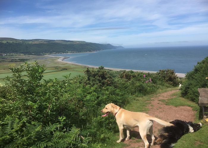 Holnicote Estate The Best Dog Walks Exmoor | Gala Bingo photo