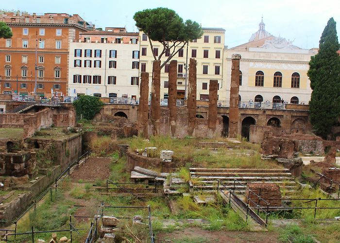 Curia Hot Springs crime | Tales From A Tour Guide photo