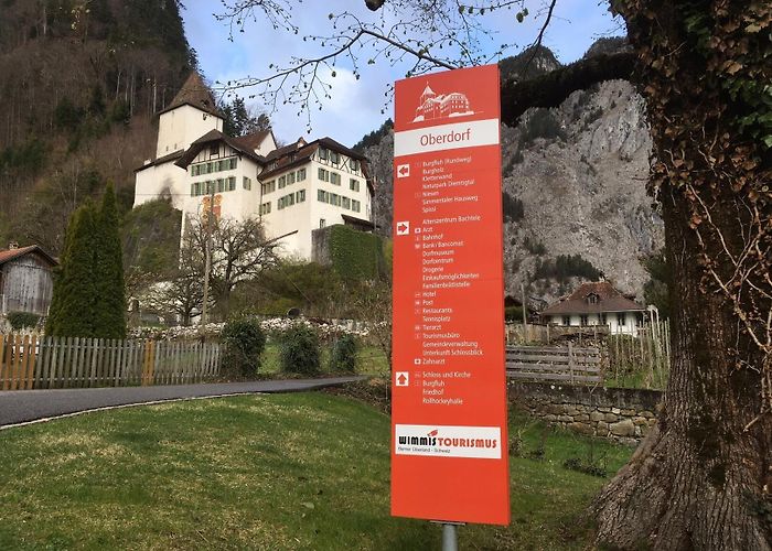 Niesen Portrait – Wimmis Tourism photo