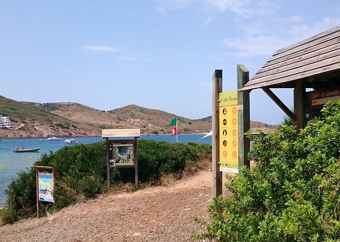 Cala Mica Beach Things to Do in Fornells in 2024 | Expedia photo