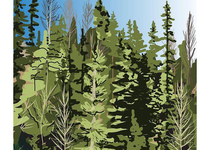 Stony Plain and District Pioneer Tri-Region Art Illustrations - Brickbubble photo