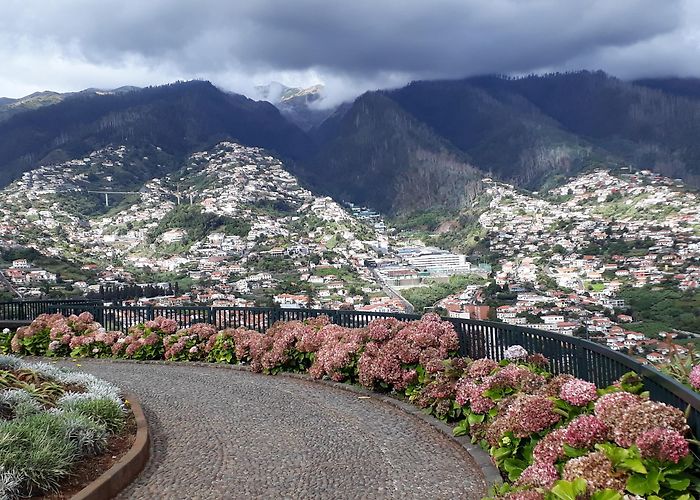 Pico dos Barcelos Viewpoint Miradouro Pico dos Barcelos | Erasmus blog UMA photo