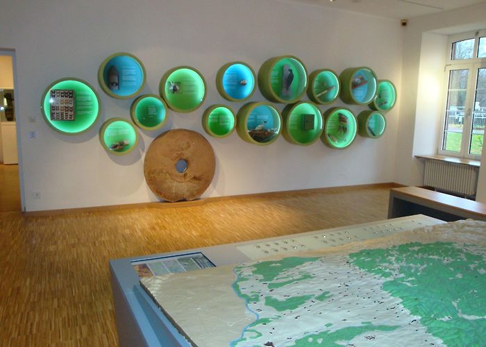 Pfalzmuseum für Naturkunde (POLLICHIA-Museum) Kultur im Landkreis Bad Dürkheim | Outdooractive photo