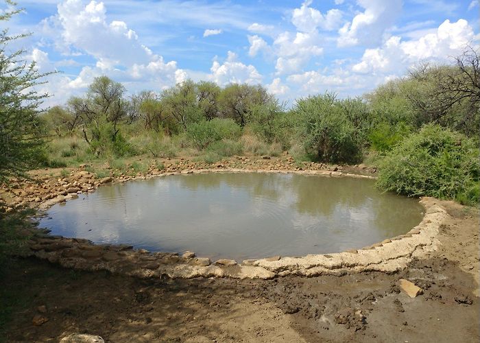 Mafikeng Game Reserve Community provide water to save game in Mafikeng protected area photo