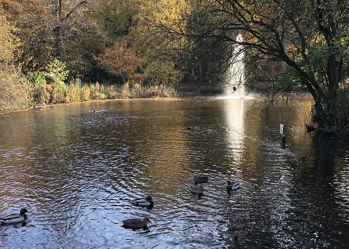 Bird Hills Golf Club Visit Bracknell: 2024 Travel Guide for Bracknell, England | Expedia photo