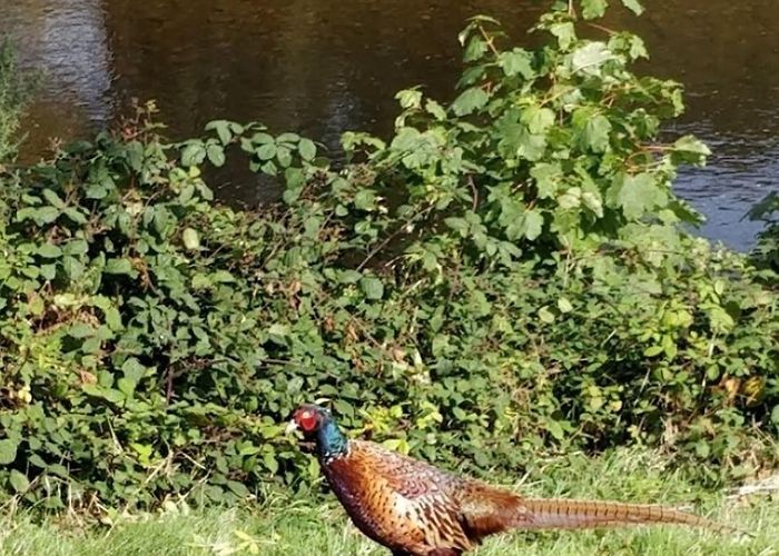 The Avoca Handweavers Visit Arklow: 2024 Travel Guide for Arklow, County Wicklow | Expedia photo