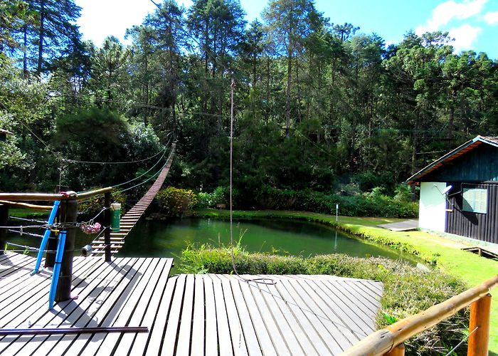 Horto Florestal Park Parque Estadual Campos do Jordão - Horto Florestal | Outdoor decor ... photo