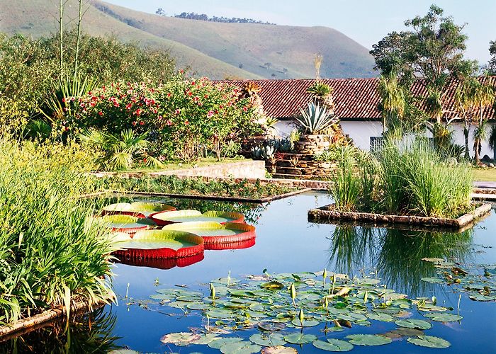 Botanic Garden of Brasilia A Look at the Work of Brazilian Landscape Architect Roberto Burle ... photo