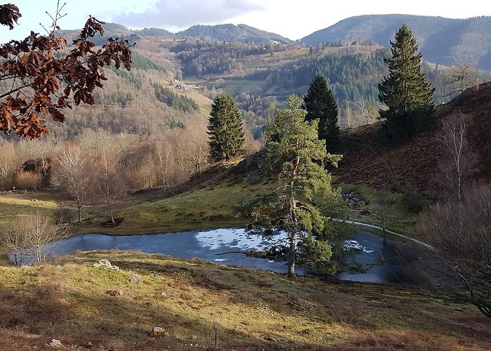 Schonau im Schwarzwald photo