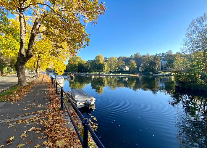 Maidenhead photo