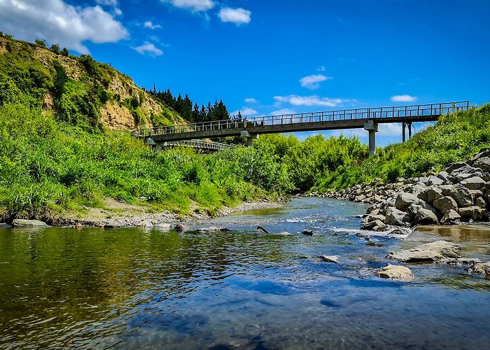 Palmerston North photo