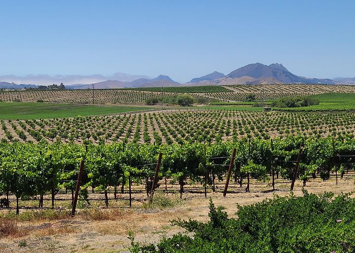 San Luis Obispo photo