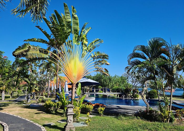 Pemuteran (Bali) photo