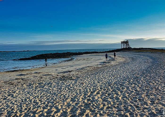 Puerto Villamil photo