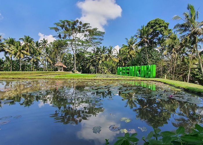 Tegallalang (Bali) photo