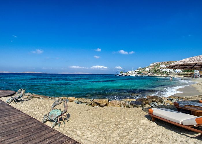 Agios Ioannis Diakoftis photo