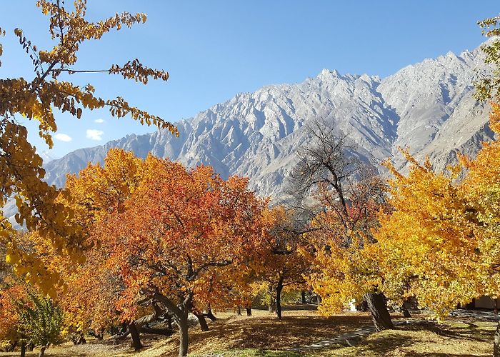 Karimabad (Hunza) photo