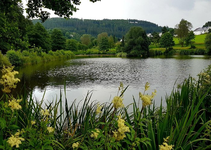 Willingen (Upland) photo