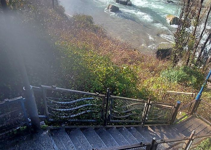 Los Angeles (Bio Bio) photo