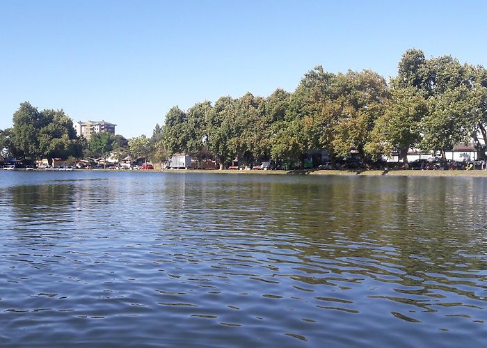 Los Angeles (Bio Bio) photo