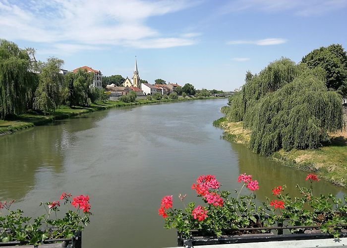 Lugoj photo