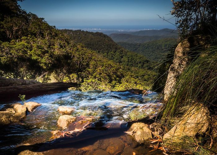 Springbrook photo